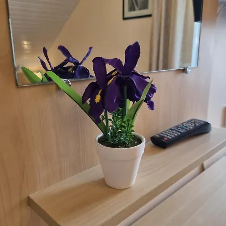 Livingpalanga Meta Su Balkonu Apartament *