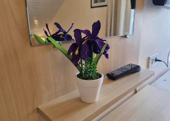 Livingpalanga Meta Su Balkonu Apartment *