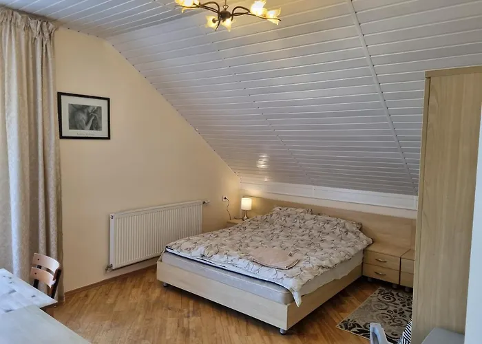 Livingpalanga Meta Su Balkonu *